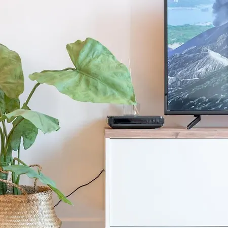 Vieux Spacieux Et Equipe * Lille