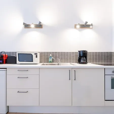 Vieux Spacieux Et Equipe * Lille