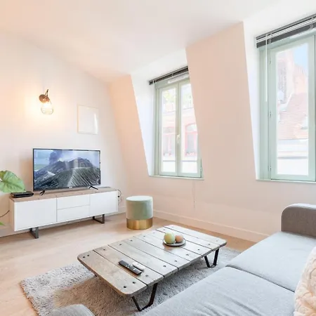 Vieux Spacieux Et Equipe Lille